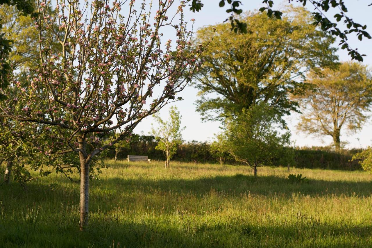 반스테이플 Holwell Holistic Retreat B&B 외부 사진