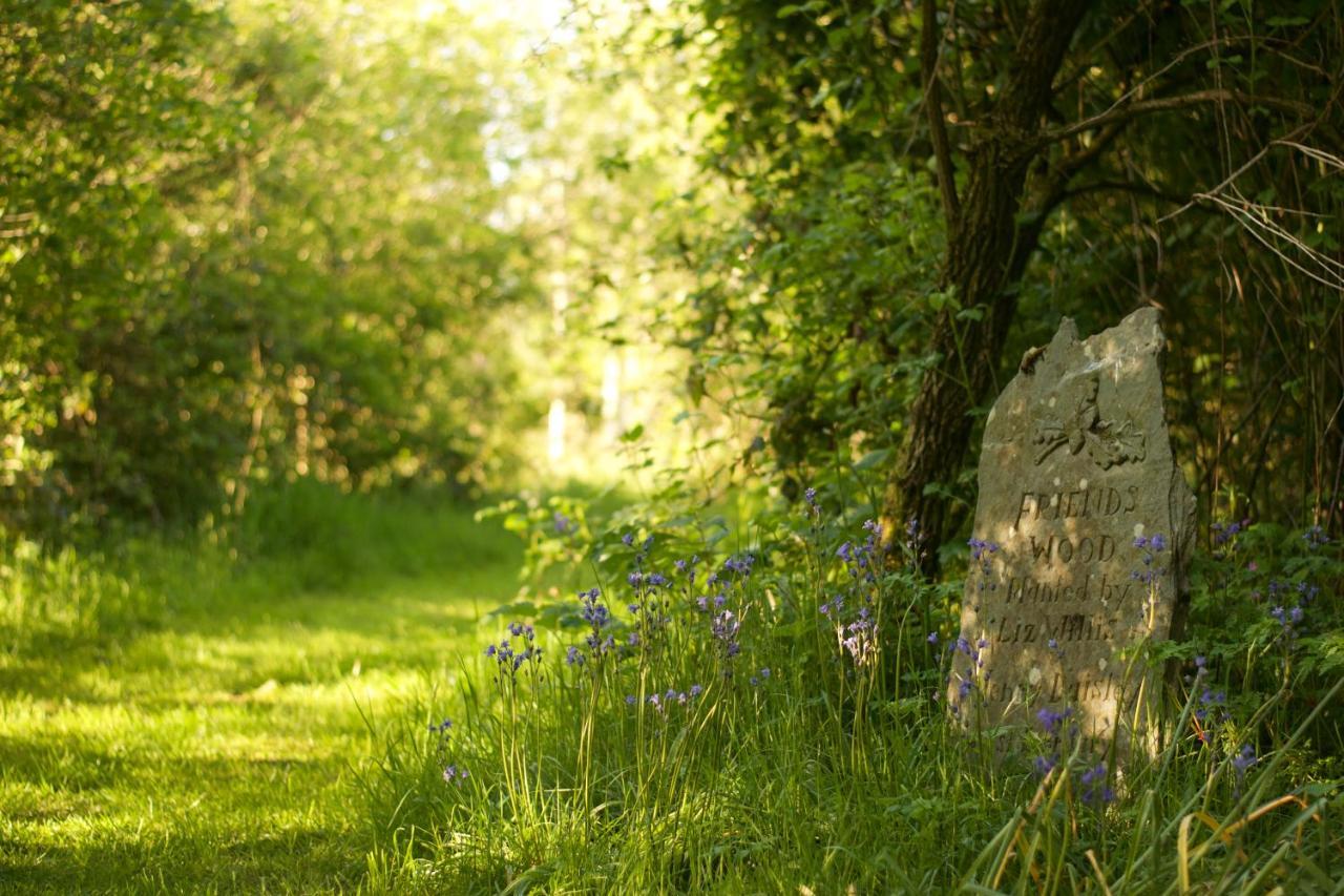 반스테이플 Holwell Holistic Retreat B&B 외부 사진