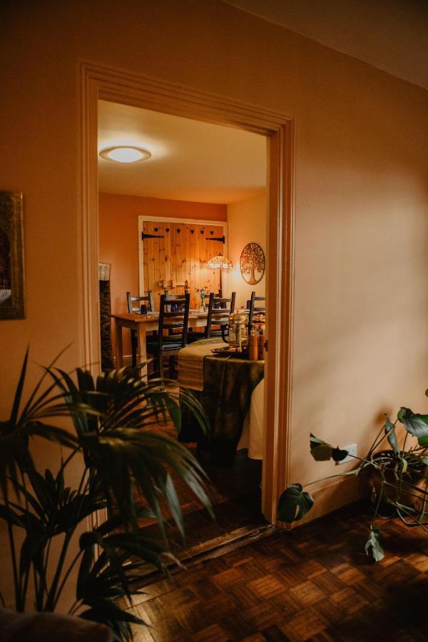 반스테이플 Holwell Holistic Retreat B&B 외부 사진